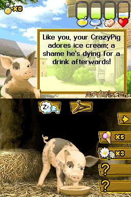 Crazy Pig screenshot 3 for Nintendo DS